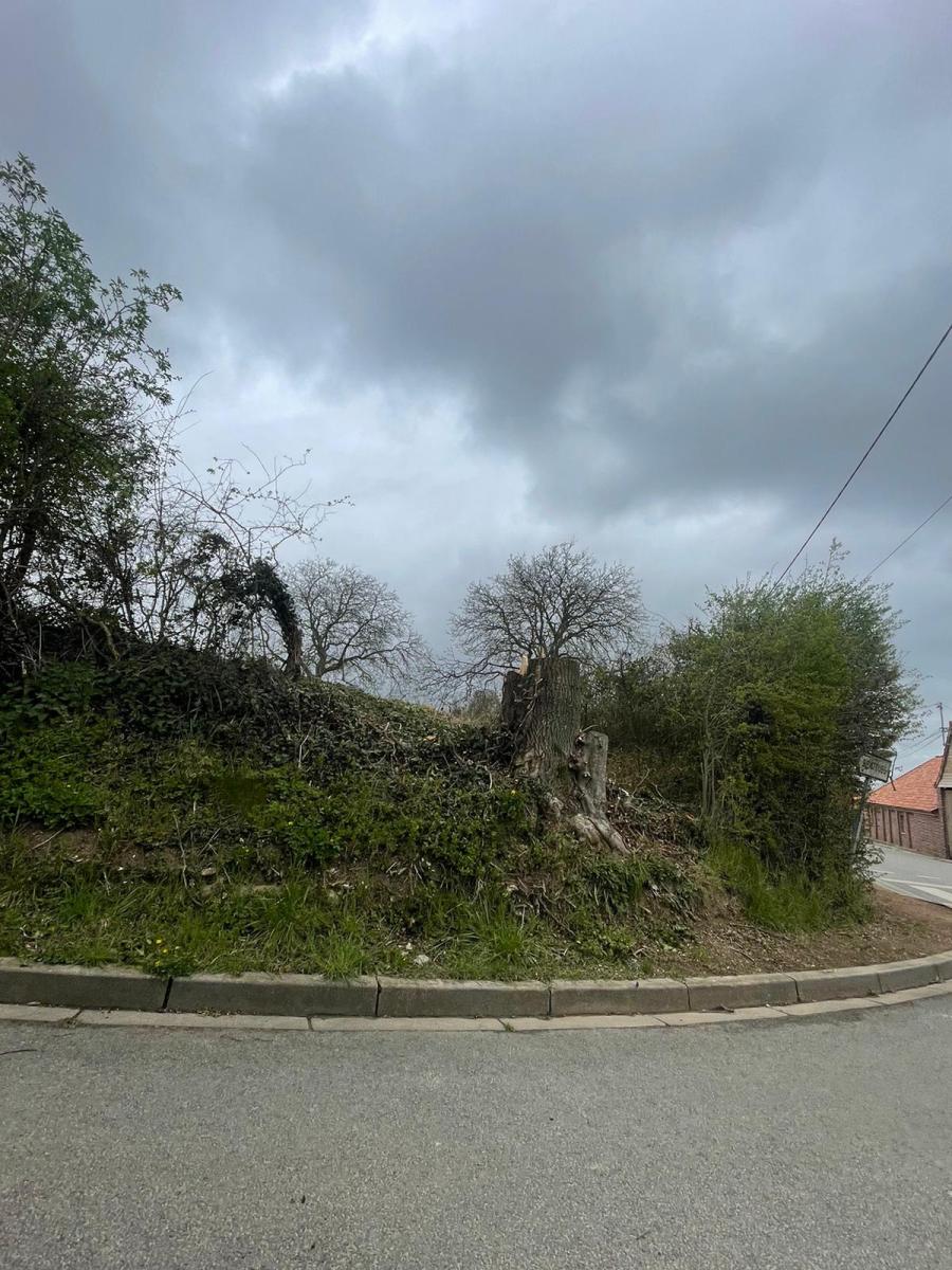 terrain à Bellinghem