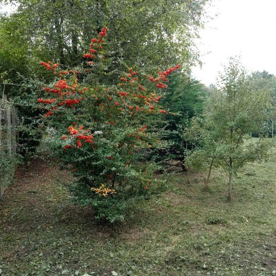 terrain à Aire-sur-la-Lys