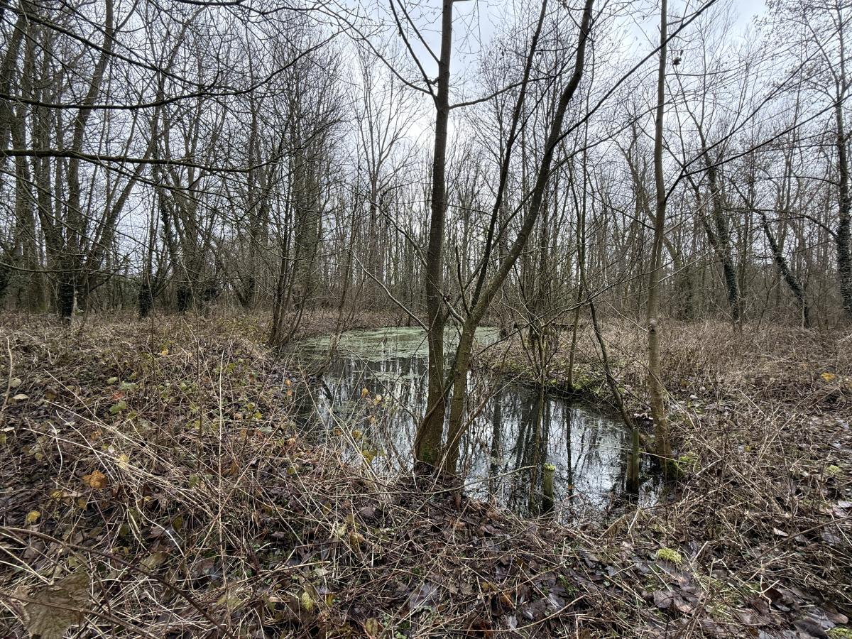 terrain à Mametz