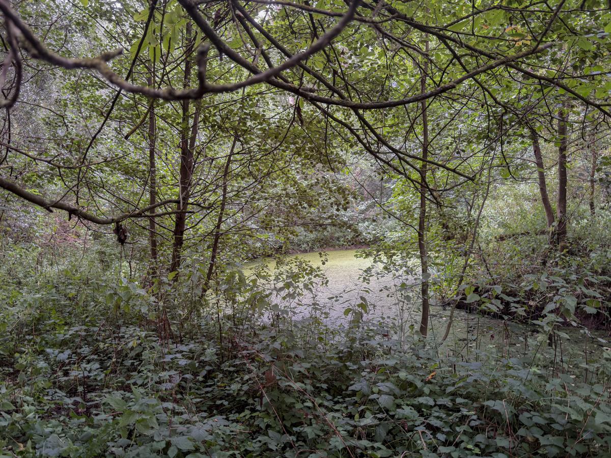 Terrain à Mametz
