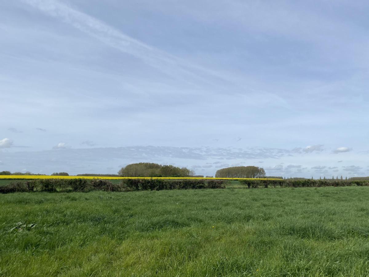 Terrain à Aire-sur-la-Lys
