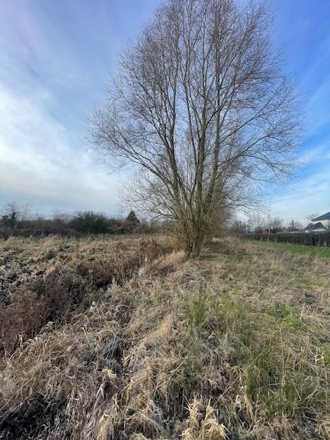 terrain à Quernes