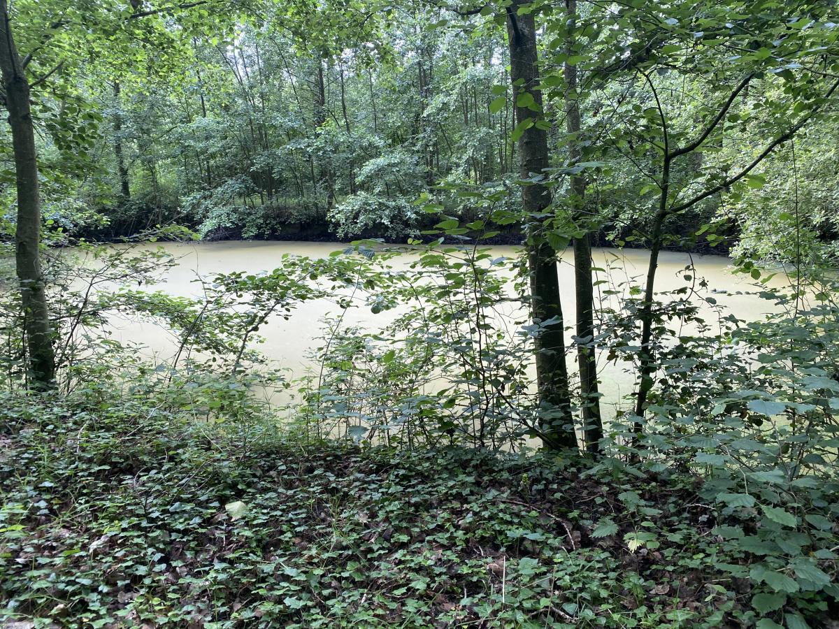 terrain à Mametz