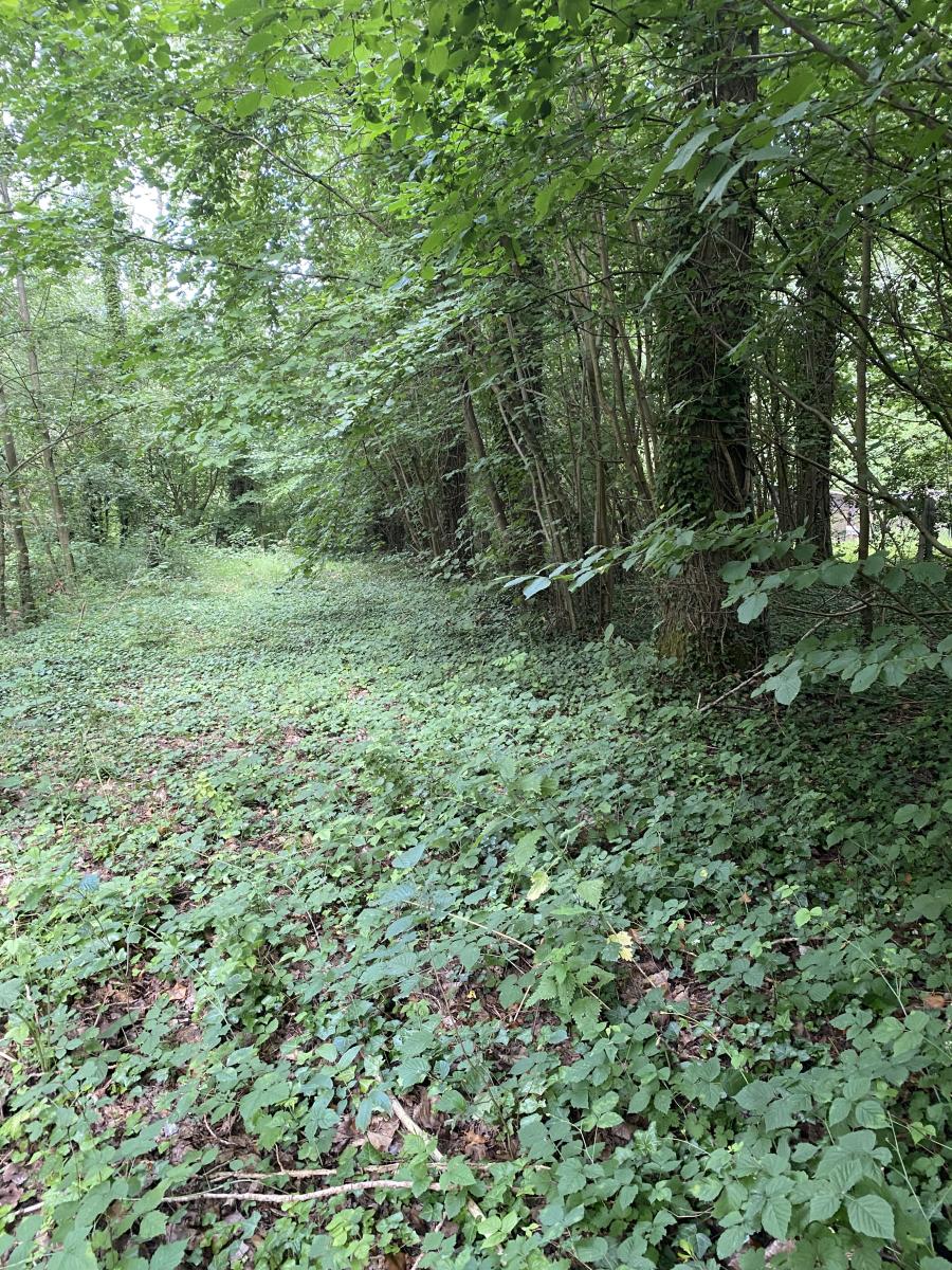 terrain à Mametz