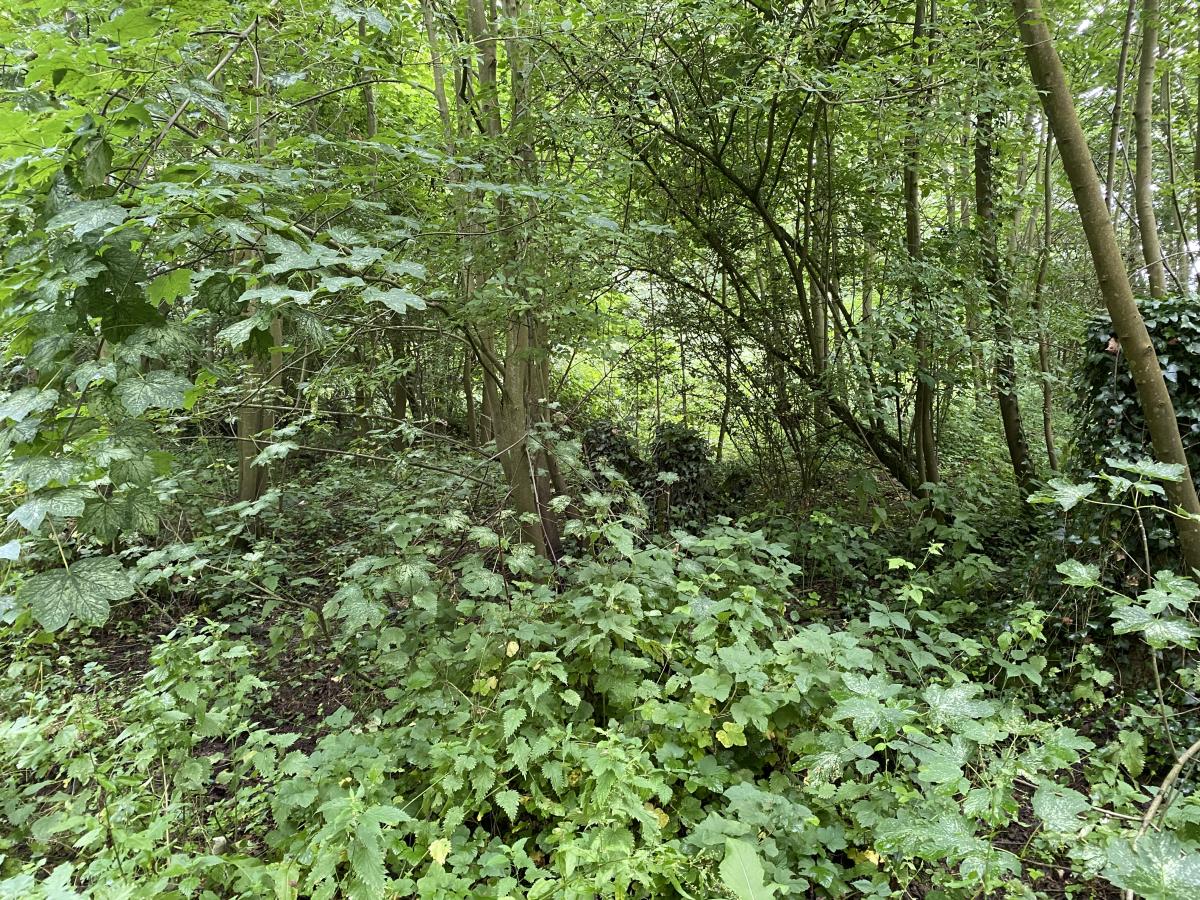 terrain à Mametz