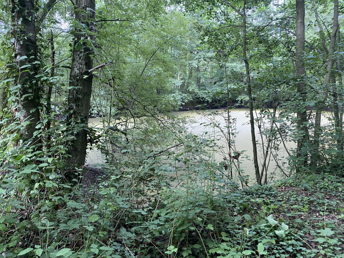 terrain à Mametz