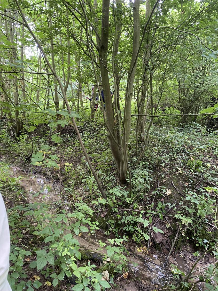 terrain à Mametz