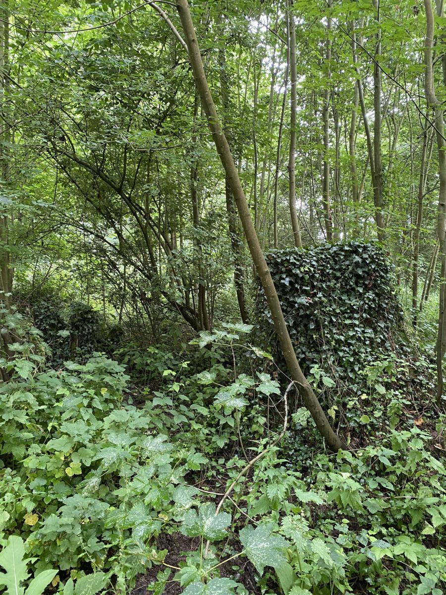 terrain à Mametz