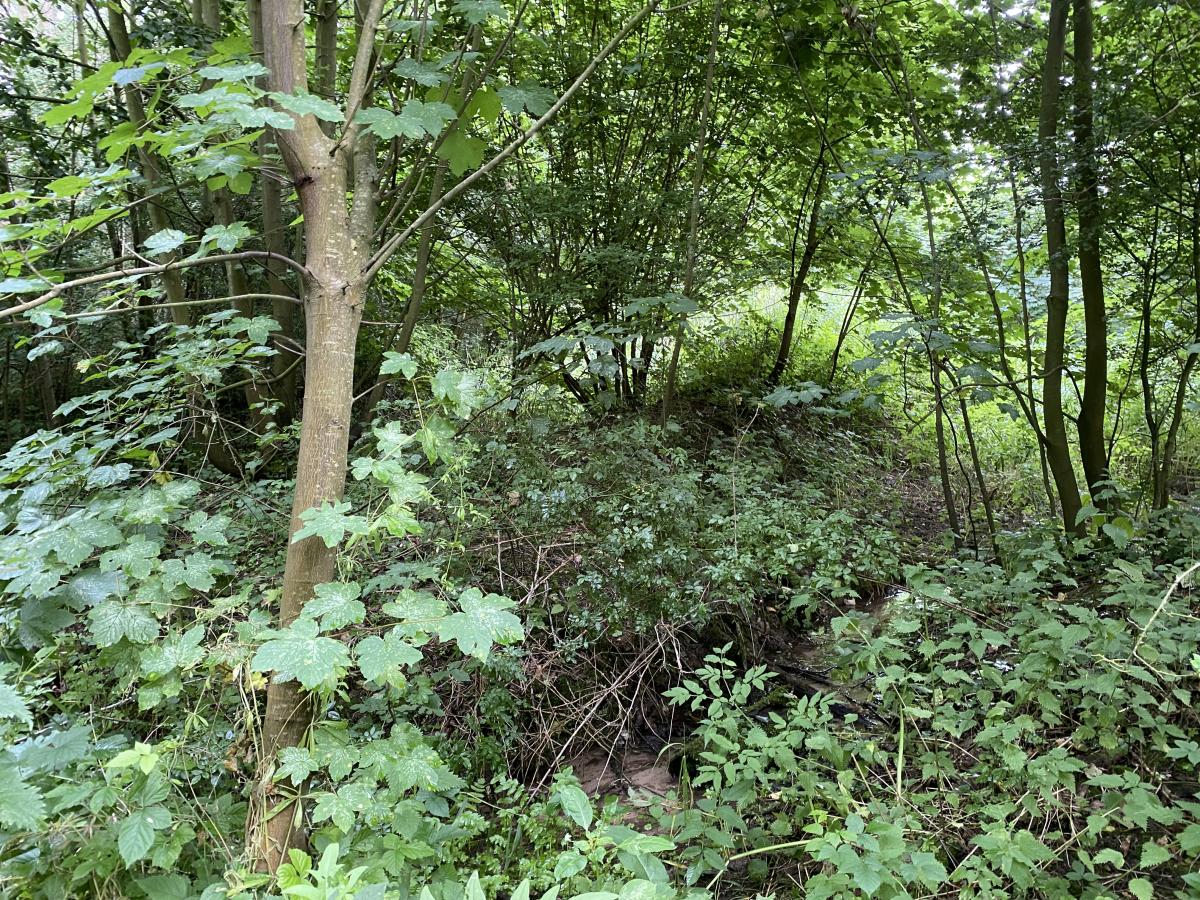 terrain à Mametz