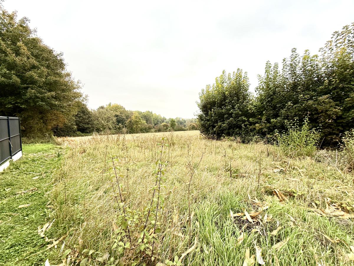 Terrain à Liettres