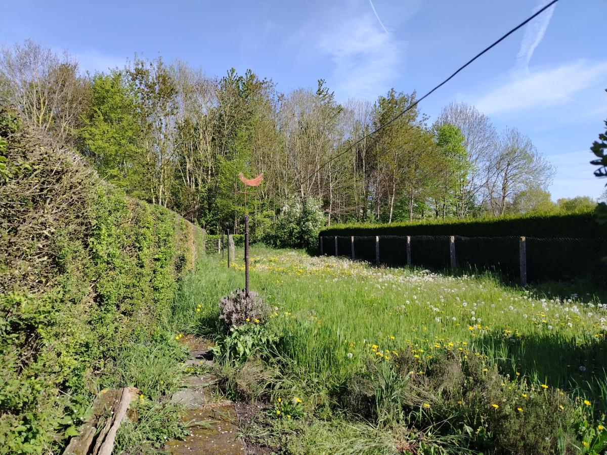 maison à Witternesse