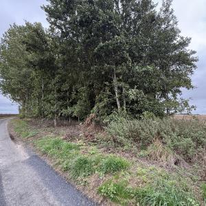 terrain à Ligny-lès-Aire