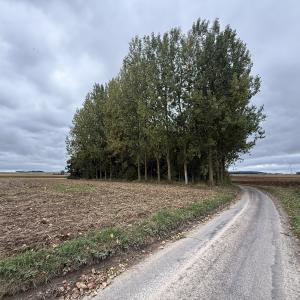 Terrain à Ligny-lès-Aire