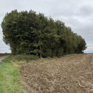 terrain à Ligny-lès-Aire