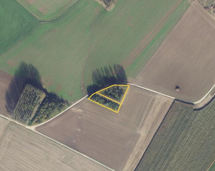 Terrain à Ligny-lès-Aire