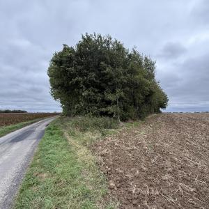 terrain à Ligny-lès-Aire
