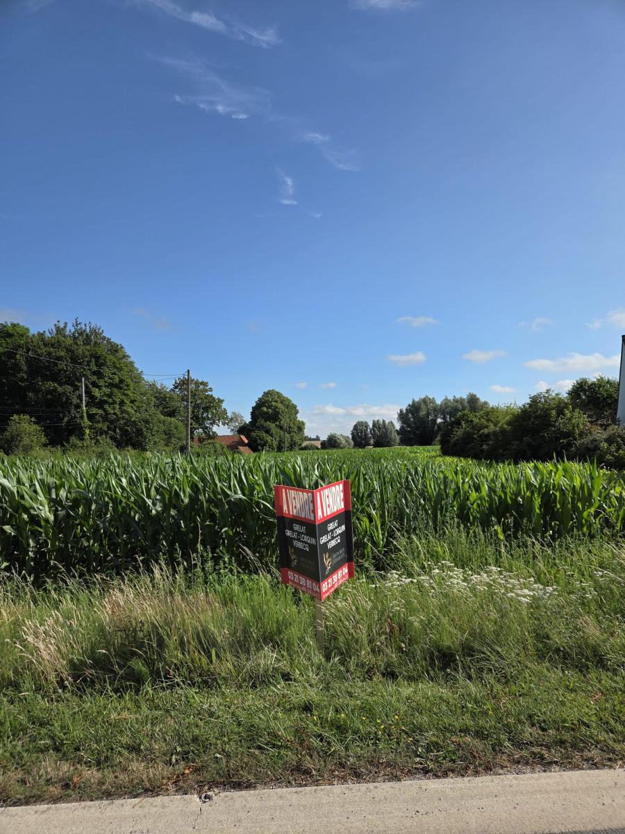 Terrain à Wittes