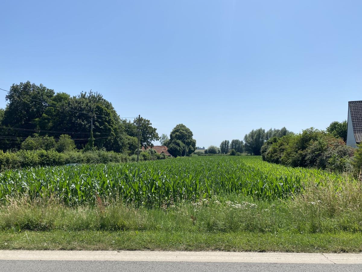 Terrain à Wittes