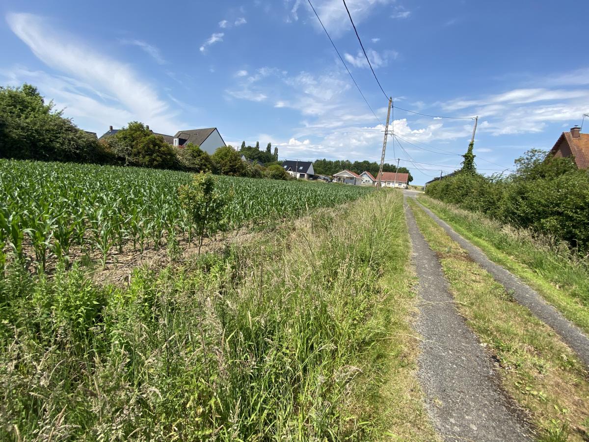 terrain à Wittes