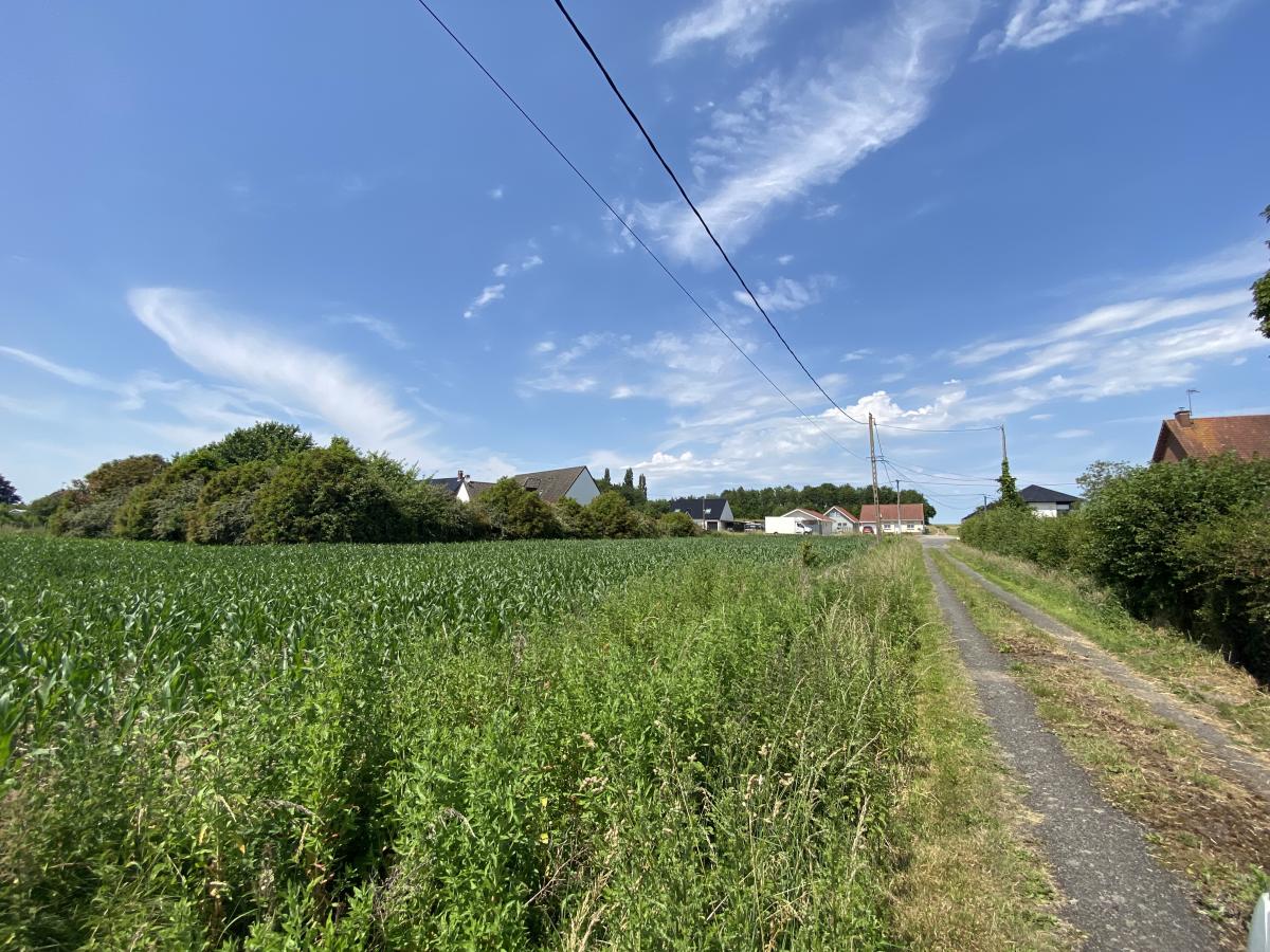 terrain à Wittes