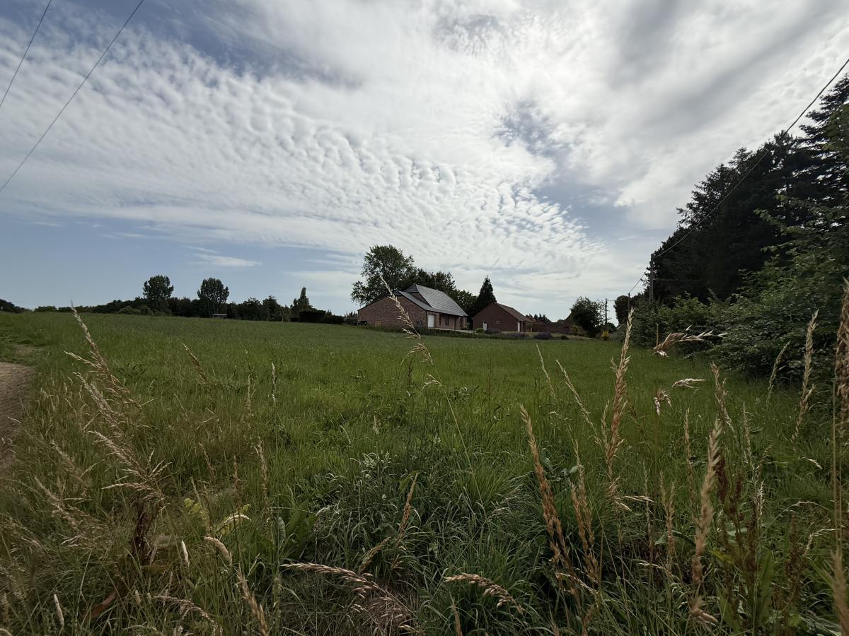 terrain à Ligny-lès-Aire