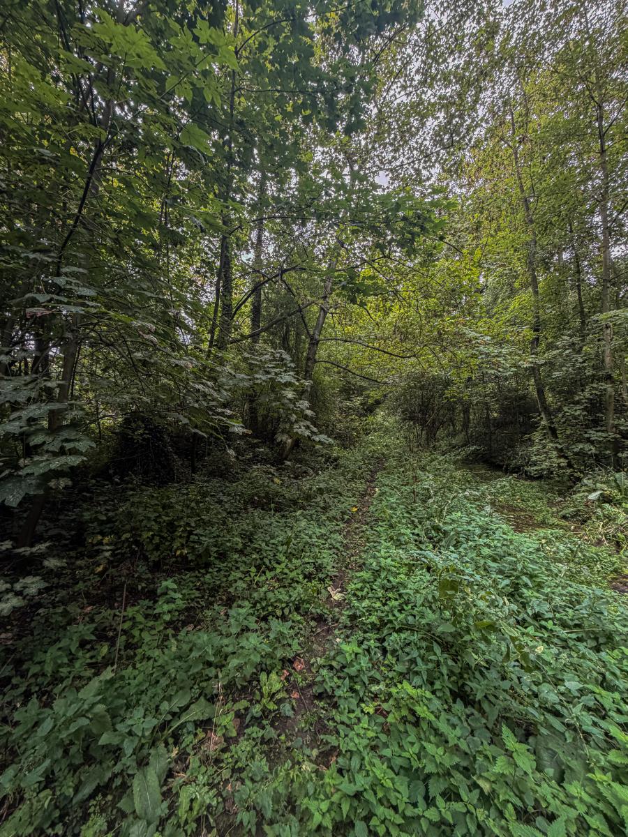 terrain à Aire-sur-la-Lys