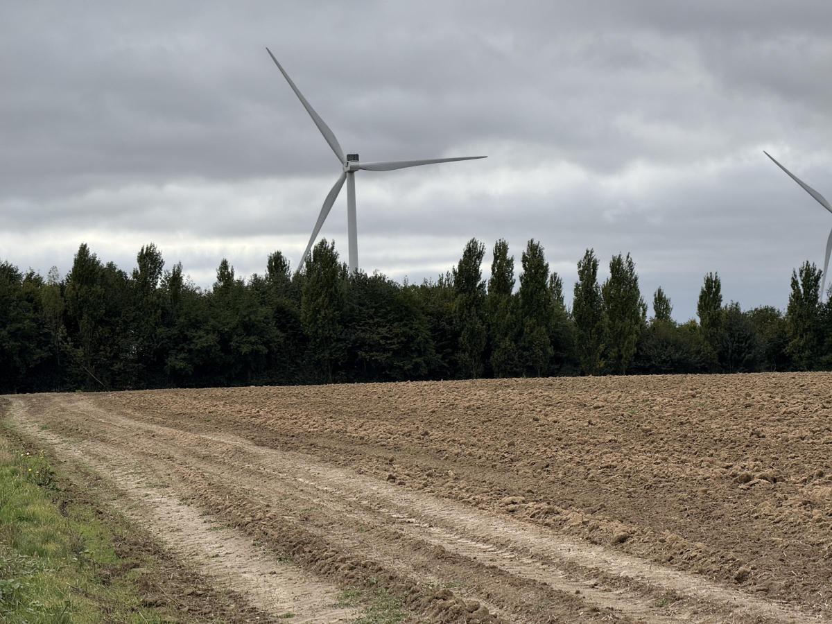 terrain à Ligny-lès-Aire