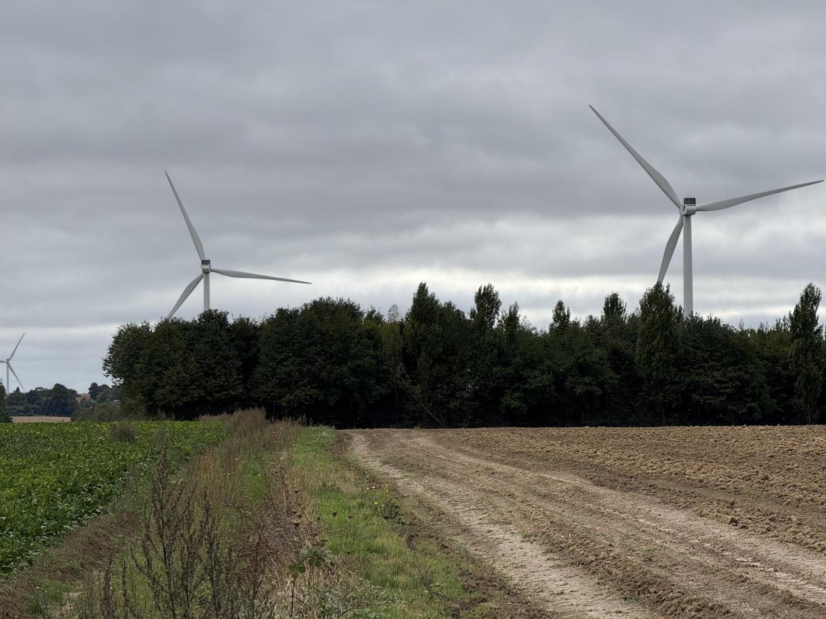 terrain à Ligny-lès-Aire