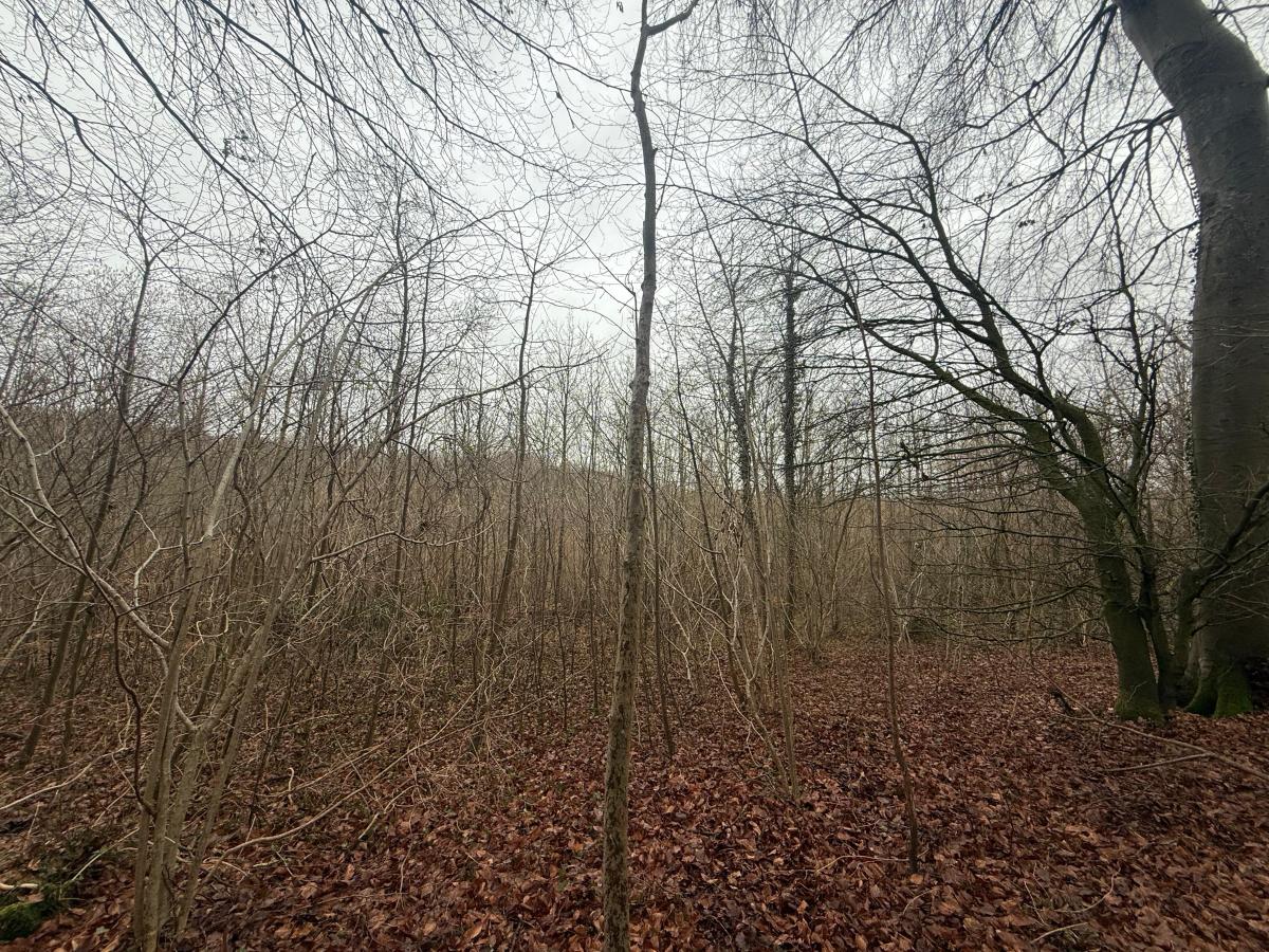 terrain à Esquerdes