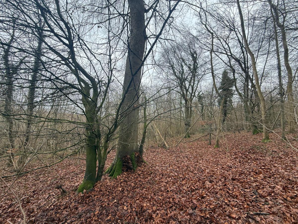 terrain à Esquerdes