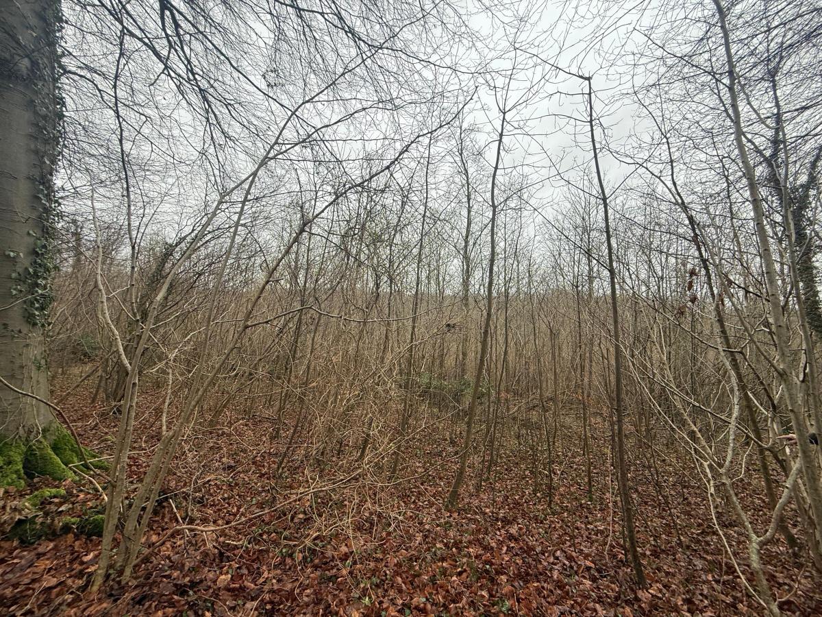 terrain à Esquerdes