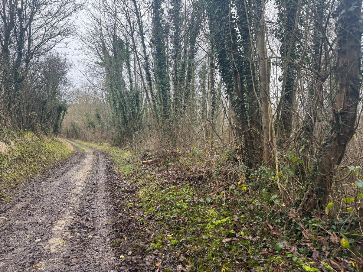 terrain à Esquerdes