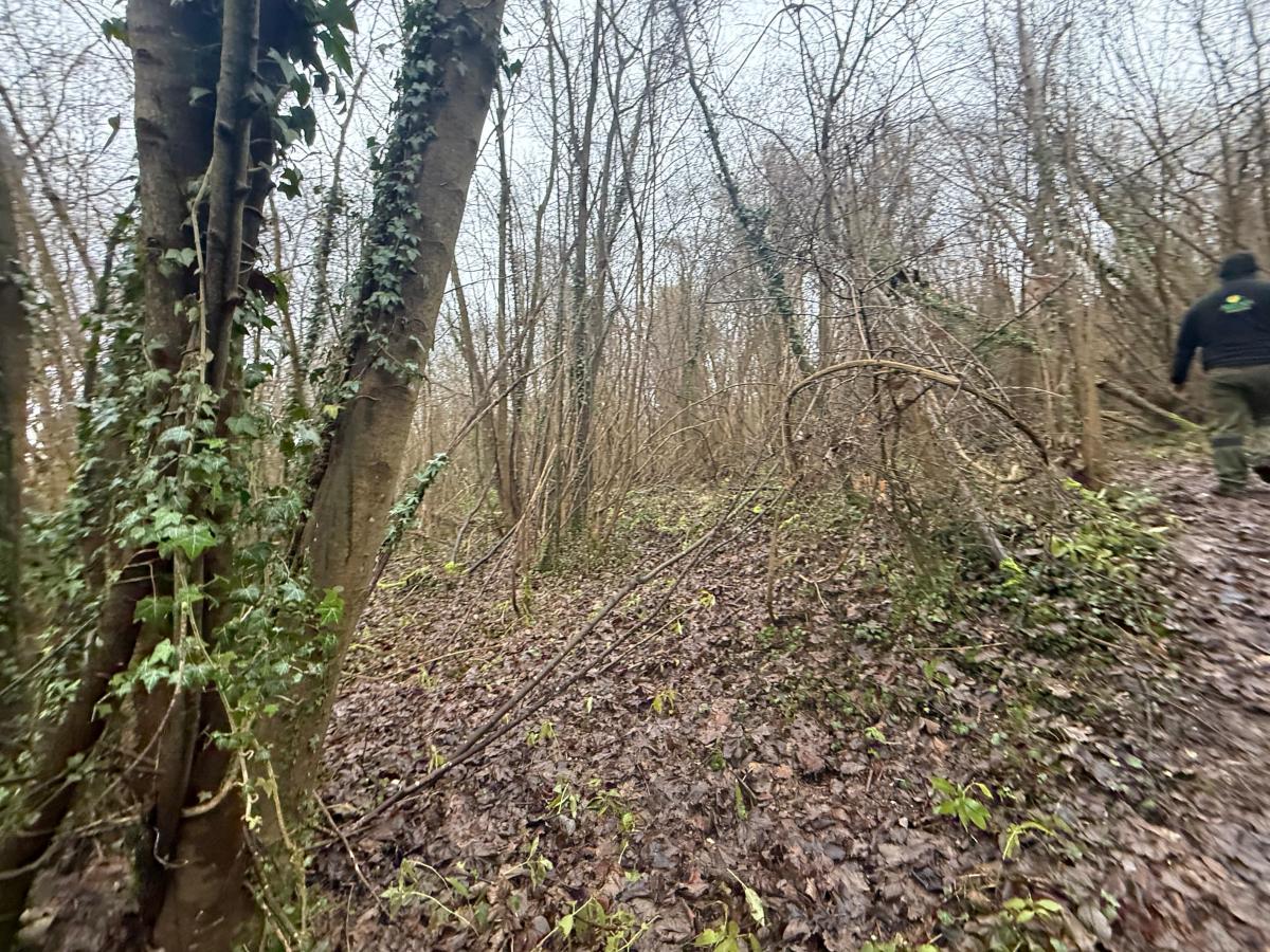 terrain à Esquerdes