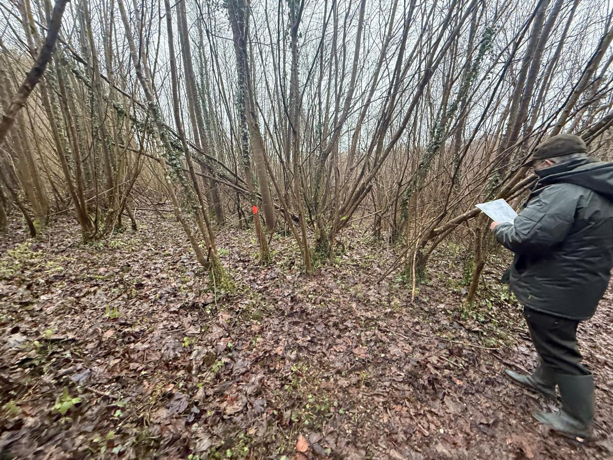 terrain à Esquerdes