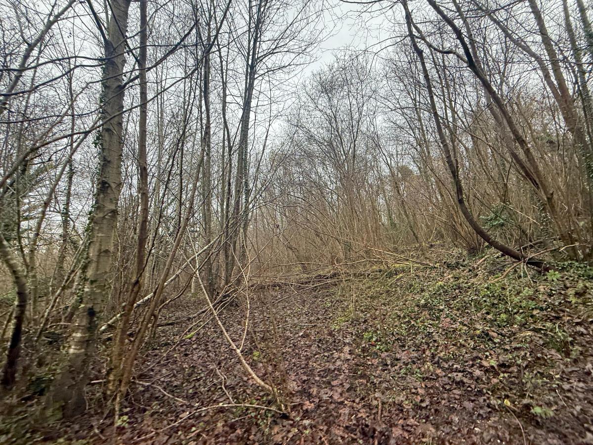 terrain à Esquerdes