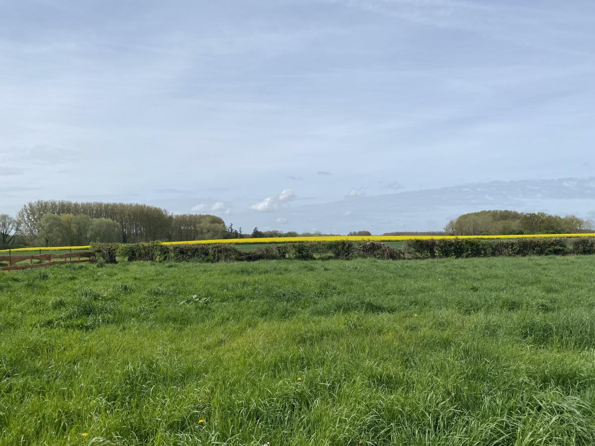 terrain à Aire-sur-la-Lys