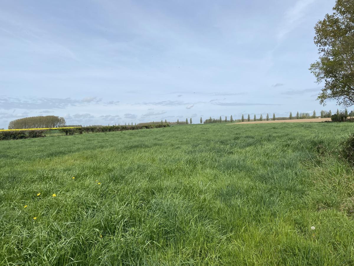 terrain à Aire-sur-la-Lys