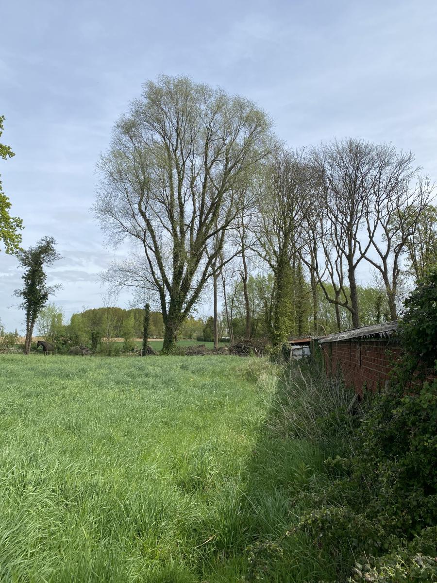 terrain à Aire-sur-la-Lys