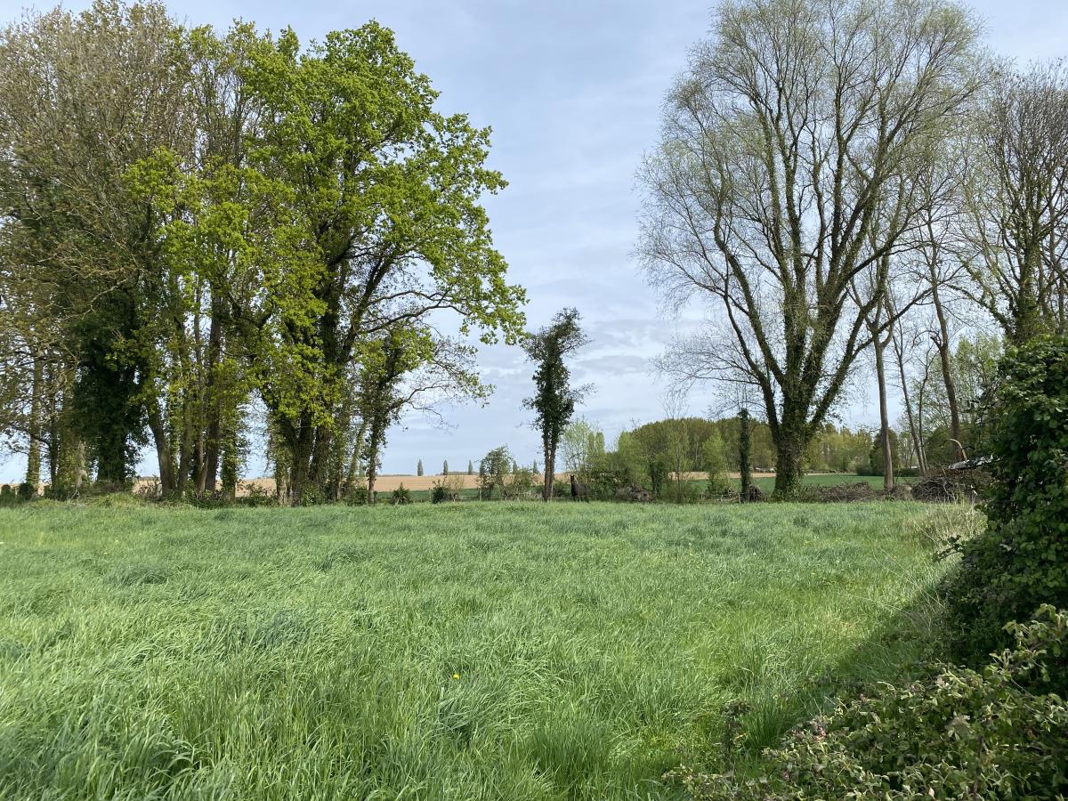 terrain à Aire-sur-la-Lys