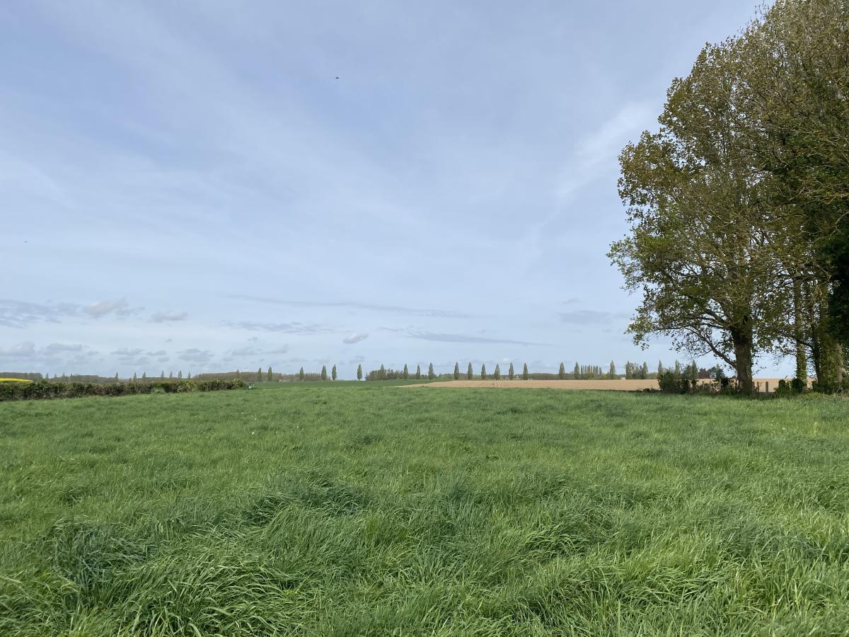 terrain à Aire-sur-la-Lys