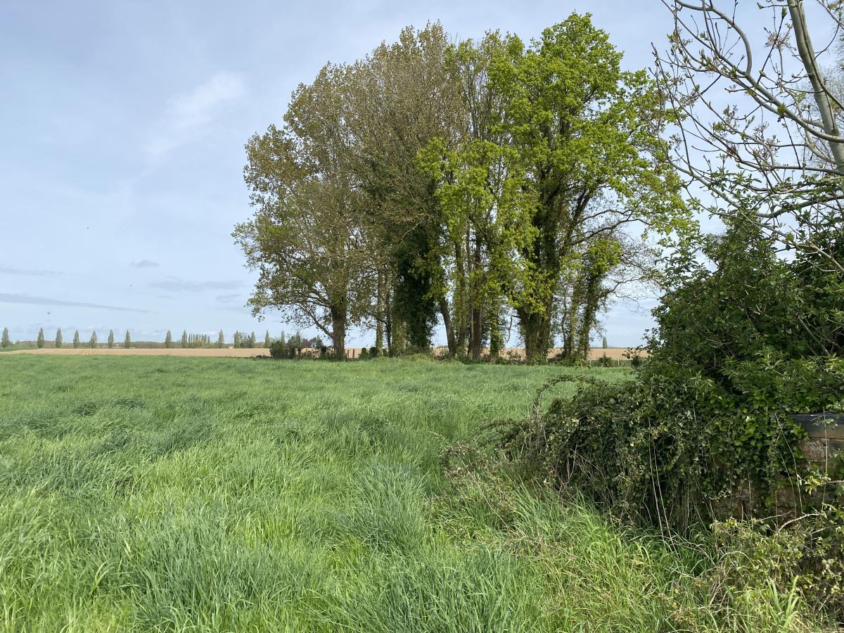 terrain à Aire-sur-la-Lys