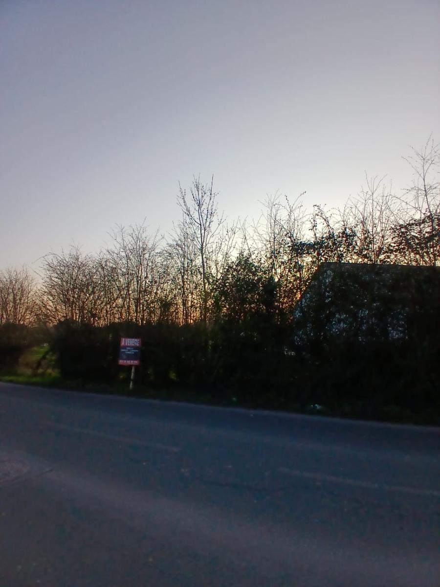 Terrain à Witternesse